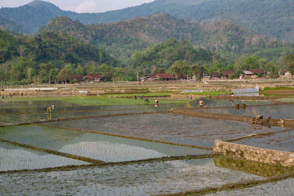 Poktan / Gapoktan Cabairejo Kini telah Daring