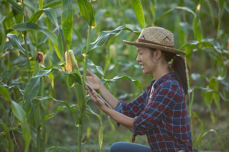 asian-woman-farmer-with-digital-tablet-corn-field-beautiful-morning-sunrise-corn-field-green-corn-field-agricultural-garden-light-shines-sunset-evening-mountain-background_1_11zon